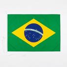 Bandeira do Brasil 30X45cm Dupla Face - Kit com ATÉ 2000 unidades - Diversas Estampas Bandeira do Brasil 30X45cm Dupla Face - Kit com ATÉ 2000 unidades - Diversas Estampas