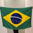 Bandeira do Brasil Copa do Mundo em Cetim Grande 1,50x1,00 Passador Abertura para corda barbante haste