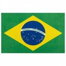 Bandeira do Brasil Poliéster 1,40x1,10m Copa do Mundo 2026 Patriota Aniversário