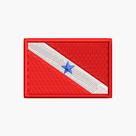 Bandeira do Estado do Pará