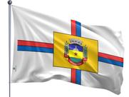 Bandeira do Município de Apucarana Uma Face Estampada Tamanho 70x100cm