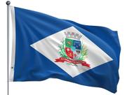 Bandeira do Município de Joinville Uma Face Estampada Tamanho 70x100cm - Qualidade e Entrega Rápida