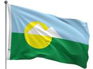 Bandeira do Município de Montes Claros Uma Face Estampada Tamanho 70x100cm - Qualidade e Entrega Rápida