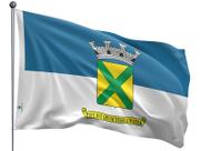 Bandeira do Município de Santo André Uma Face Estampada Tamanho 90x128cm - Qualidade e Entrega Rápida