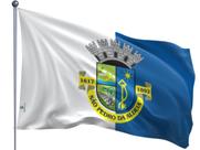 Bandeira do Município de São Pedro da Aldeia Uma Face Estampada Tamanho 70x100cm - Qualidade e Entrega Rápida