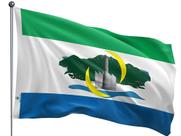 Bandeira do Município de Serra Uma Face Estampada Tamanho 70x100cm - Qualidade e Entrega Rápida Bandeira do Município de Serra Uma Face Estampada Tamanho 70x100cm - Qualidade e Entrega Rápida