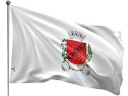 Bandeira do Município de Sete Lagoas Uma Face 90x128cm - Qualidade e Entrega Rápida