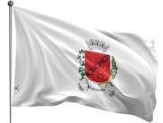Bandeira do Município de Sete Lagoas Uma Face Estampada Tamanho 70x100cm - Qualidade e Entrega Rápida