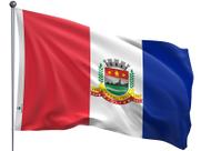 Bandeira do Município de Teresópolis Uma Face Estampada Tamanho 90x128cm - Qualidade e Entrega Rápida