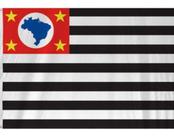 Bandeira Estado São Paulo SP 1,50x0,90 Poliéster Importado