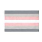 Bandeira FLAGLINK Demigirl Pride 90x150cm LGBTQIA Demi Women
