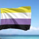Bandeira Gênero Não Binário 1,50x0,90mt Lgbt