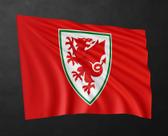 Bandeira Seleção País de Gales Copa do mundo 80cmx140cm Tecido Oxford 100% Poliéster