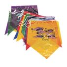 Bandeirinhas Para Festa Junina Plastica com 10 Metros - Bandhoka