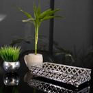 Bandeja Decorativa Retangular Em Metal Prata Com Espelho 5x24 cm M02 - D'Rossi