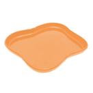 Bandeja Orgânica - 18x14,5 cm - Papaya- 1 Unidade - 1 unidade - Só Boleiras - Rizzo
