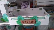 Bandeja safari
