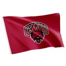 Bandera Desert Cactus Universidad Central de Washington CWU 3x5 pies