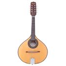 Bandolim Rozini RB21 .EL.F.I Elétrico