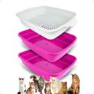 Banheiro inteligente para gatos Brinqpet Azul