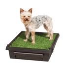 Banheiro portátil para cães PetSafe PetSafe para treinamento doméstico