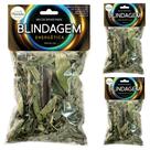 Banho Blindagem Energética Amor Proteção Espiritual Umbanda Ervas Lar Abrir Caminhos Sorte Kit 3 Und