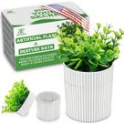 Banho de dentadura YCROJBK Estojo de dentadura com filtro de eucalipto