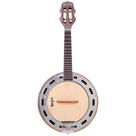Banjo Profissional Rozini Caixa Baixa Fosco RJ10 EL.F.LP