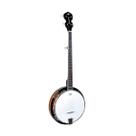 Banjo strinberg wb-50 5 cordas