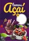 Banner Completo Tema - Açaí 60x40