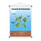 Banner de Lona Educativo Esquema da Fotossíntese - 85x60cm