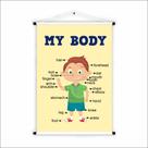 Banner de Lona Educativo Inglês My Body Boy 70x55cm Banner de Lona Educativo Inglês My Body Boy 70x55cm