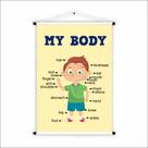 Banner de Lona Educativo My Body Boy - 85x60cm Banner de Lona Educativo My Body Boy - 85x60cm