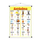 Banner Educativo em Lona Antônimo 70x55 cm