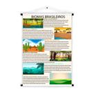 Banner Educativo em Lona Biomas Brasileiro 70x55 cm Banner Educativo em Lona Biomas Brasileiro 70x55 cm