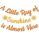 Banner Yochamc A Little Ray of Sunshine Baby Shower Party