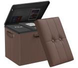 Banqueta otomana de armazenamento para os pés DocSafe Fireproof Brown