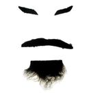 Barba Bigode e Sobrancelha de Pirata