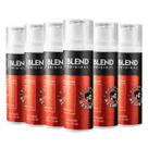 Barba de Respeito 6 Unidades Blend 30ML