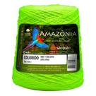 Barbante Amazônia Neon nº08 600g - 461 Metros