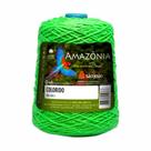 Barbante Amazônia São João N06 400g Colorido
