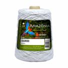 Barbante Amazônia São João N06 400g Colorido