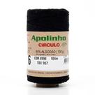 Barbante Apolinho nº 6 100g