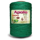 Barbante Apolo Eco 6 Bobina 1.8kg Cor 5286