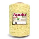 Barbante Apolo Eco 8 (bobina 1,8kg) Cor 1074