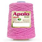 Barbante Apolo Eco Círculo N 8 - 600g COR:3182 - Pitaya