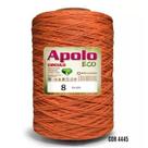BARBANTE APOLO ECO CIRCULO Nº 08 - 1,8KG - 1411M BARBANTE APOLO ECO CIRCULO Nº 08 - 1,8KG - 1411M