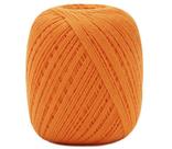 Barbante Barroco MaxColor nº 6 - 226m - Cor 4131 (Dark Cheddar)