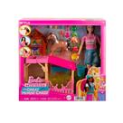 Barbie Renée Conjunto Cuidado Com Cavalinho HXJ40 Mattel