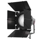Barndoors Aputure F10 para acessório LS 600d Fresnel